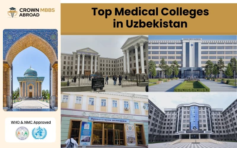 Top 5 Medical Colleges in Uzbekistan for Indian Students (2026)